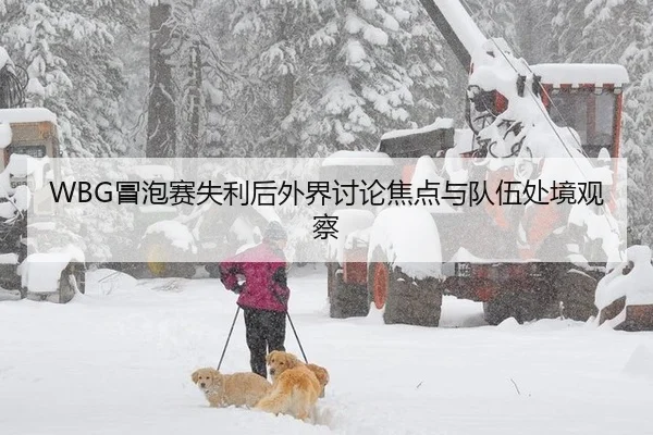 WBG冒泡赛失利后外界讨论焦点与队伍处境观察